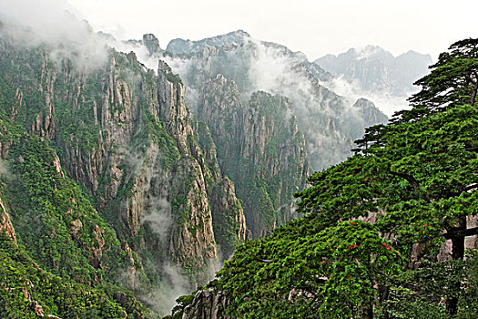 老公听话丸是什么药C1B8D97C5-18975